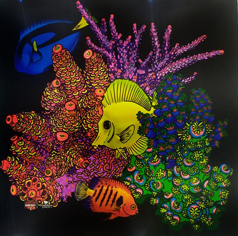 Fluorescent Glow in the Dark Under Blue Light Coral Reef Tank Etsy