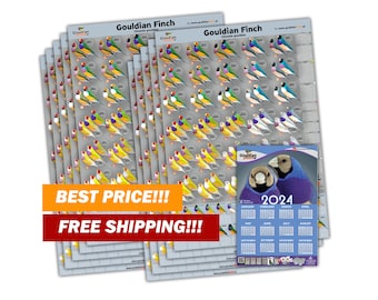 Pack of 10 NEW Large Mutation posters + 2024 Calendar, 32*48cm for FREE!!!