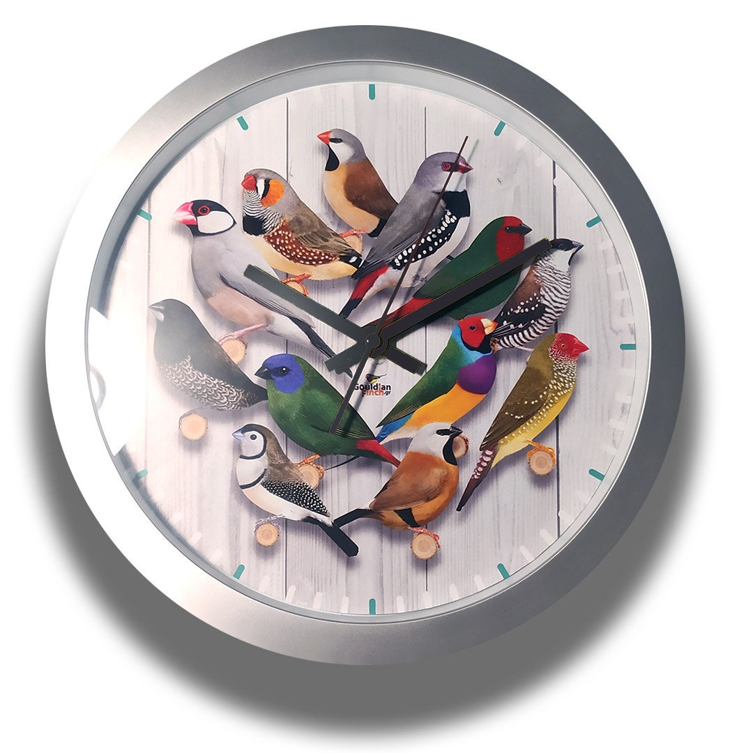 Buy Exotic Finches Silver Wall Clock With Modern Gouldian Finch,  Zebra Finch, Java Finch, Society Finch and Other Birds Online in India 