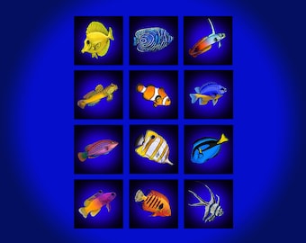 Reef Fish Art Prints, Marine Aquarium Decor (Set of 12)
