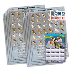 10er Pack Goldfink Mutation Poster + 2025 Goldfink Kalender 32*48 cm GRATIS!!!