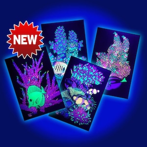 4 FLUO Printed on Plexiglass Reef images that glow in the dark under blue UV light. Coral & fish Reef Tank Room decor.