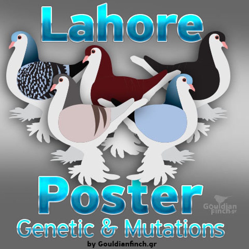 Genetic Genetic