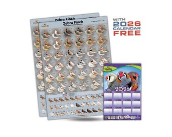 Posters de la mutation du diamant mandarin (Ensemble de 2) + Calendrier 2026