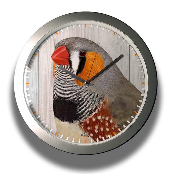 Zebra Finch Mutations Silver Wall Clock With Modern Design. Etsy