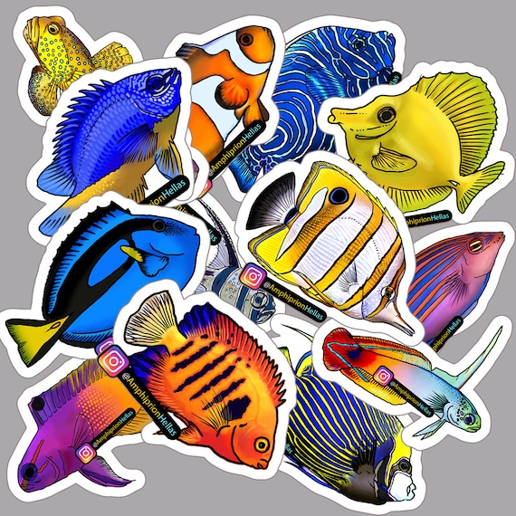 REEF　リーフ　ステッカー REEF リーフ ステッカー