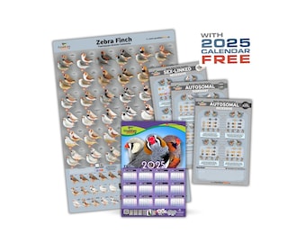 NEW Zebra Finch Mutation Poster + 3 NEW Genetics posters +  Zebra Finch Calendar 2025, 32*48cm for FREE!!!