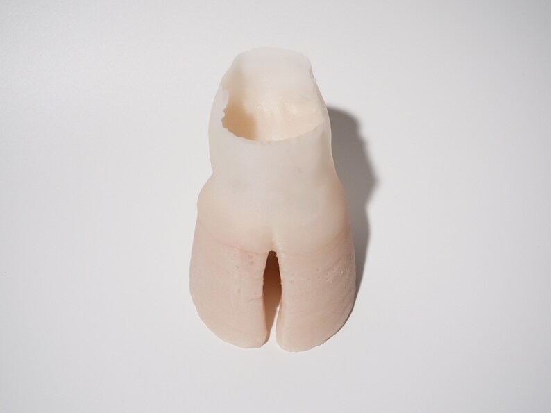 Silicone Hoof Prop image 7