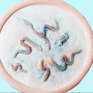 May include: A circular, pale pink ceramic plate with a white interior. The centre displays abstract, worm-like forms in shades of blue, red, and yellow. The plate is set against a light blue backdrop.