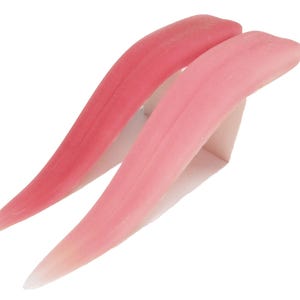 Realistic Silicone Tongue Prop: Horror Cosplay/Creature SFX Makeup