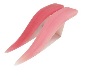 Silicone Tongue Prop – Realistic FX Tongue for Horror, Cosplay, Creature Makeup, or Display - Soft & Flexible SFX Prop