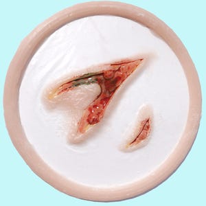 Große Tiefe Platzwunde Prothetik - Encapsuliertes Painted Silikon Trauma FX