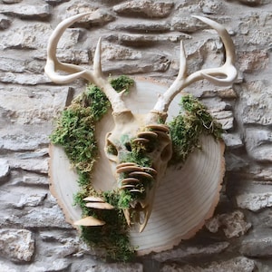 Faux Deer Skull Mask – Choose Plain Rustic or Mushroom & Moss Adorned - Fantasy Costume, Horror Decor, Cosplay Antler Mask