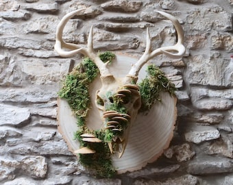 Faux Mushroom Deer Skull Mask: Rustic Woodland Costume, Horror Decor