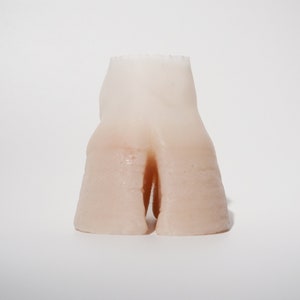 Silicone Hoof Prop image 6