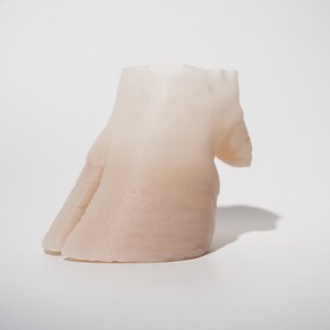 Silicone Hoof Prop image 1