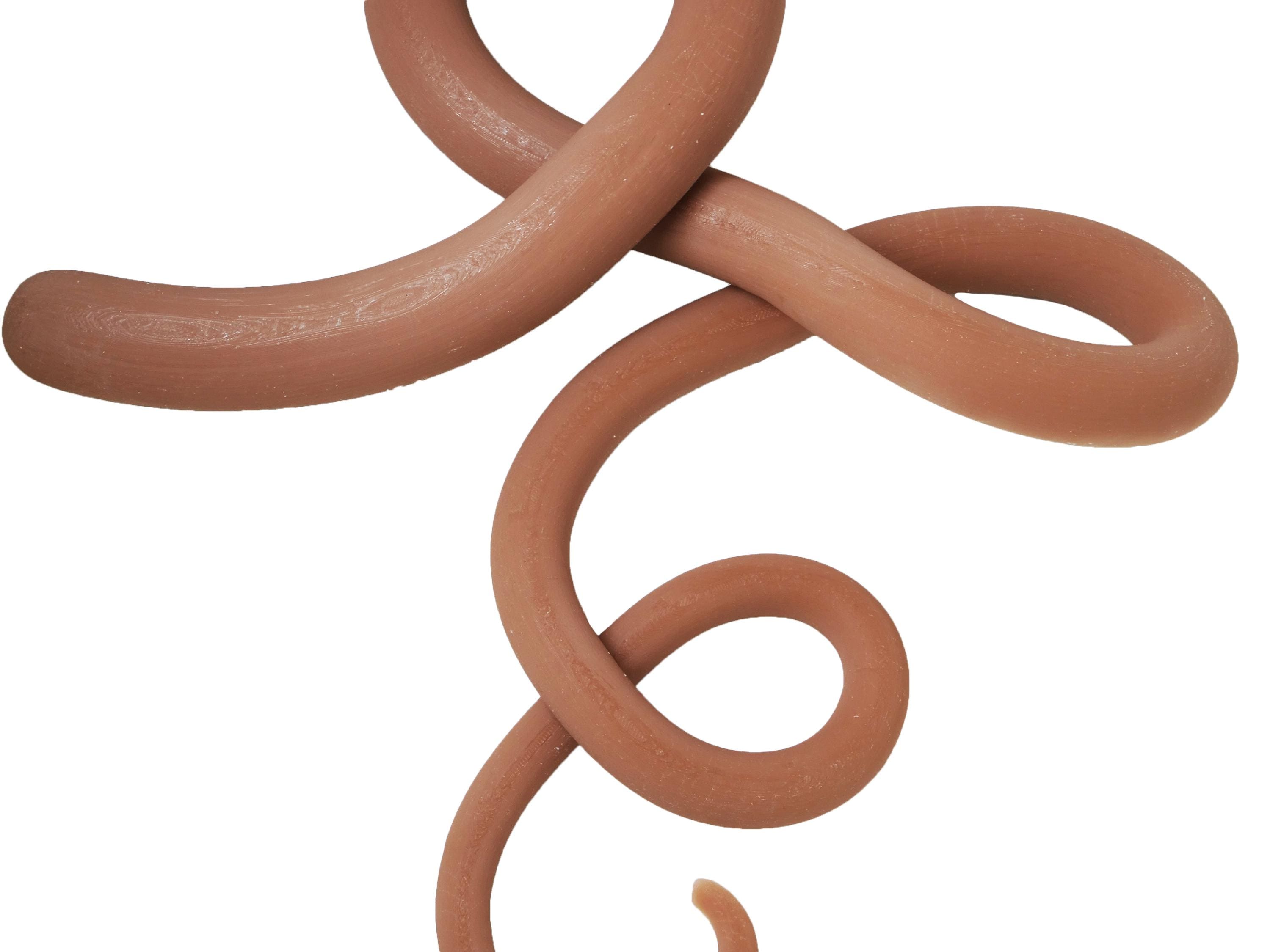54-Inch Silicone Tapeworm Prop – Realistic Horror FX Parasite for Body Horror, Film, Display & Haunted Decor - Long SFX Worm