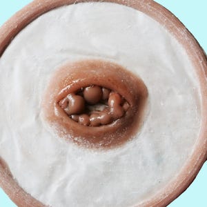 Op de afbeelding: Een prothetische wond, met een vlezige, open mond met kleine, afgeronde tanden en een donker, getextureerd interieur. De wond is geplaatst in een cirkelvormige, gebroken witte basis met een bruine rand.