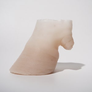 Silicone Hoof Prop image 5