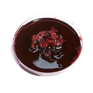 Coagulated Fake Blood – 3ml Thick, Clotted FX Blood Gel for Horror Makeup, Wounds, Gore Effects & Cosplay - Realistic Special Effects