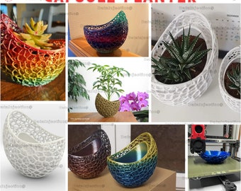 File stampante modello 3D per vaso da fioriera Stl Capsule Planter