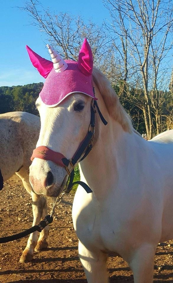 Bonnet Cheval Licorne Rosie