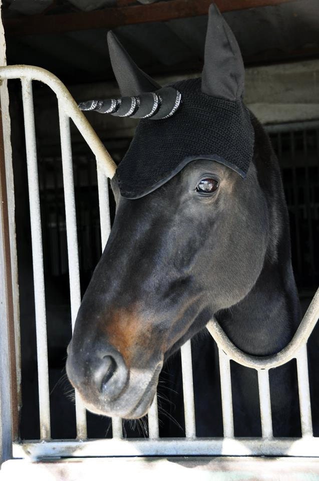Bonnet Licorne Cheval Cristal Noir