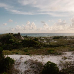 May include: A view of a sandy beach with green vegetation in the foreground and a blue sea in the background. The sky is a light blue with white clouds.