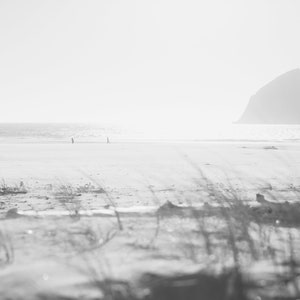 Pacific City Haystack