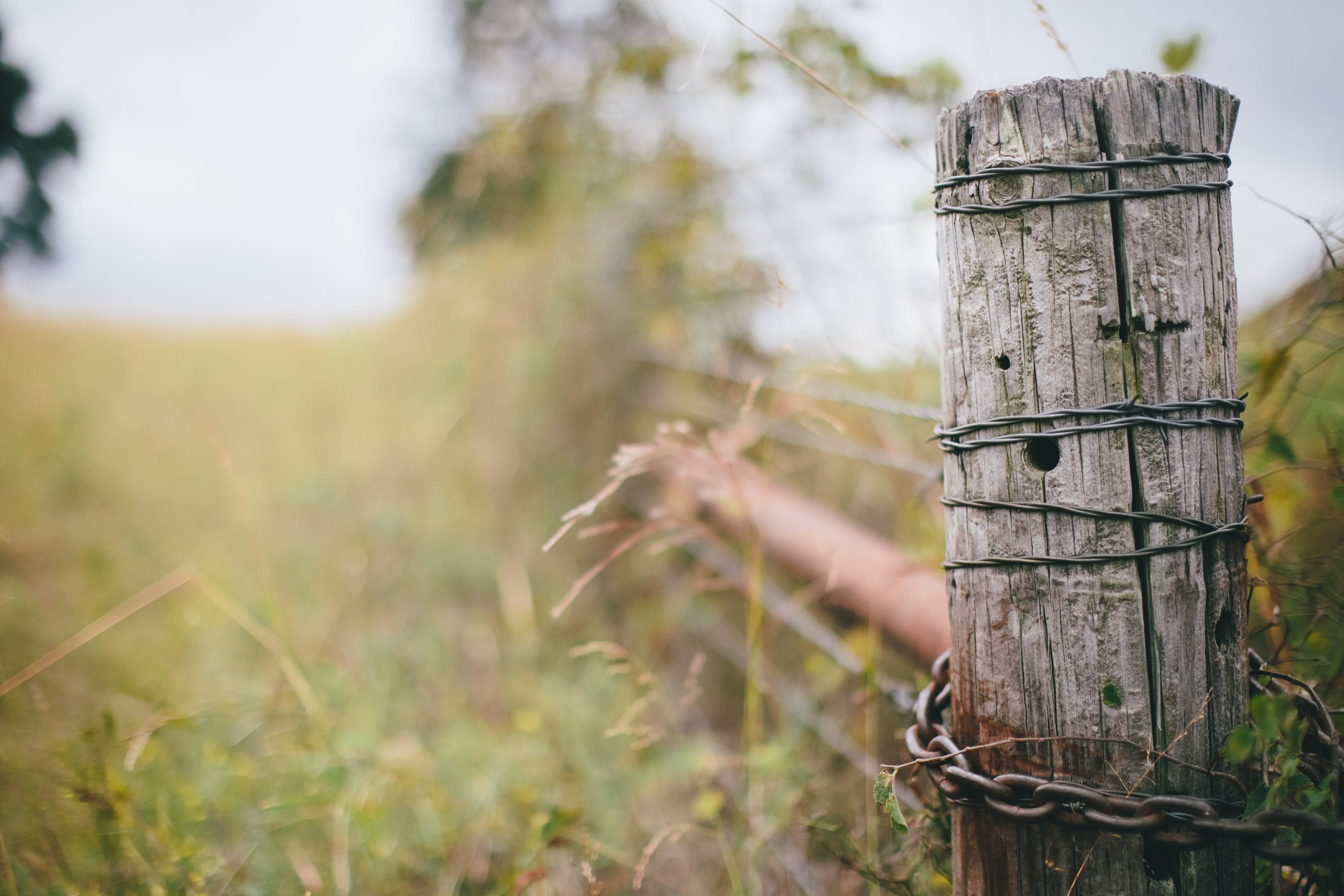 Fence Post in Texas Etsy