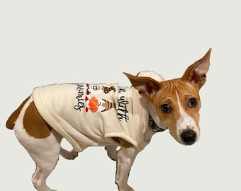 hufflepuff dog sweater