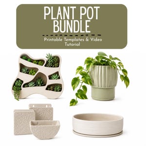 Peut inclure: Un ensemble de pots de fleurs comprenant une jardinière murale blanche aux formes organiques avec des succulentes, un pot vert sauge cannelé avec un pothos retombant, trois jardinières murales texturées et un pot circulaire blanc peu profond.
