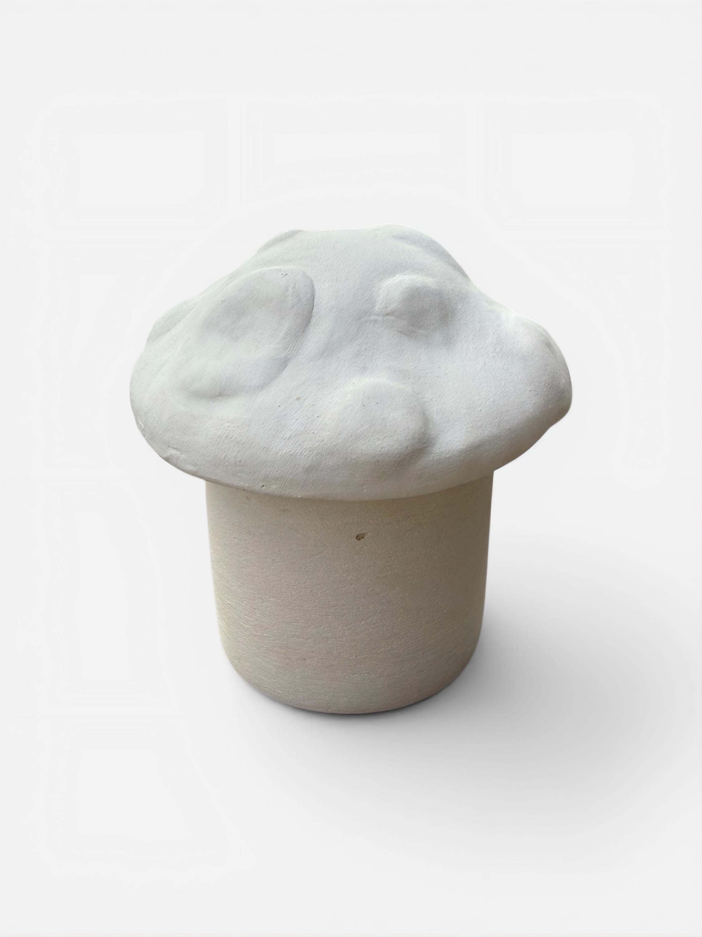 Mushroom Butter Crock Template | Slab Pottery Pattern, Beginner ...