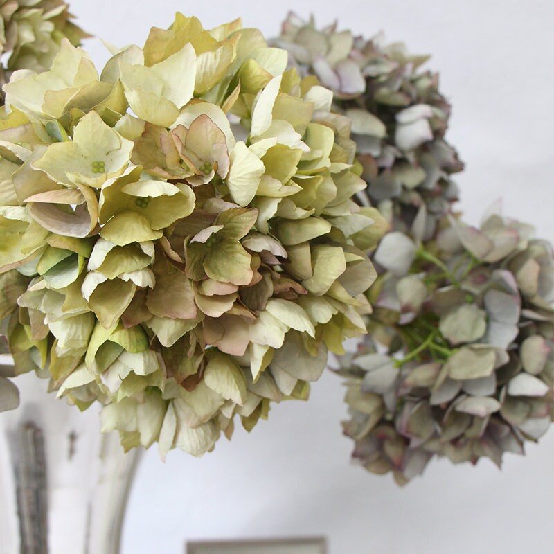 Luxury Silk Single Hydrangea Stem in Green 19 Tall Etsy