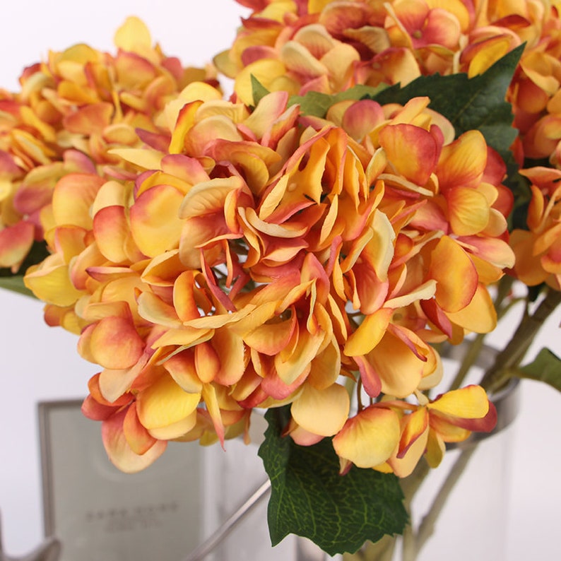 Luxury Silk Hydrangea Stem in Yellow Orange 18 Tall Etsy