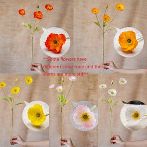 Silk Common Poppy Flower Stem 22" Tall