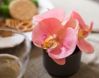 Artificial Flower Mini Real Touch Orchid in Pot Pink