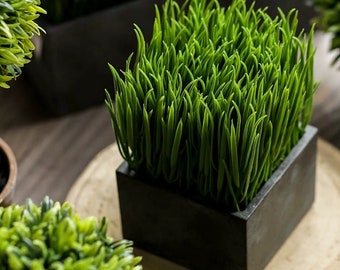 Faux Grass in Black Pot