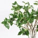 see more listings in the Discontinued-FlowerPlant section