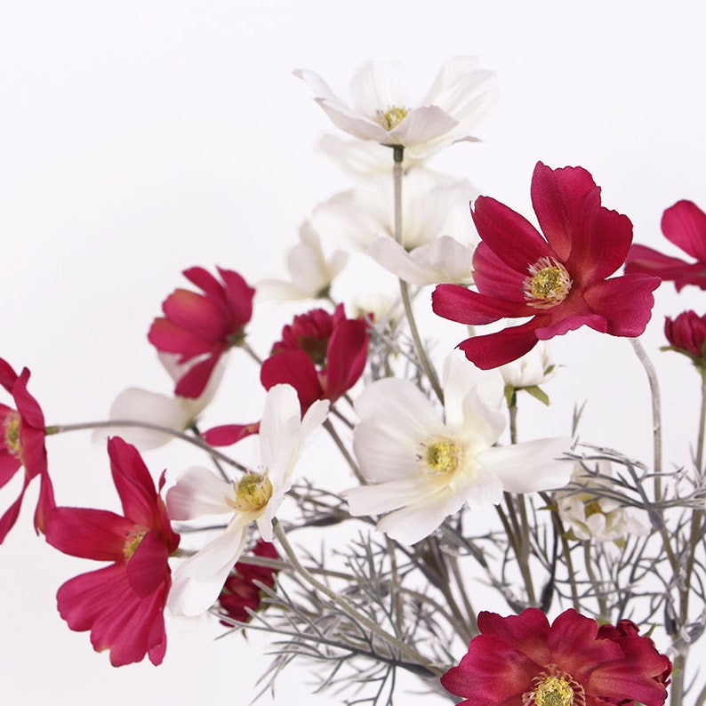 Luxury Silk Cosmos Stem in Light and Dark Pink 24 Tall Etsy