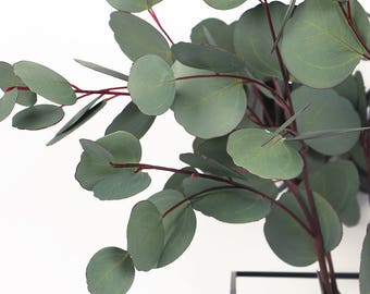 Luxury Artificial Eucalyptus Round Leaf Stem 28" Tall