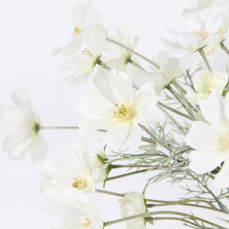 Silk Flower Silk Cosmos Stem in White 24 Tall Etsy Israel