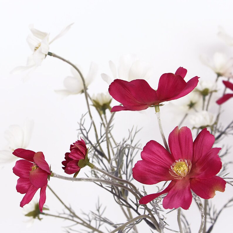 Luxury Silk Cosmos Stem in Light and Dark Pink 24 Tall Etsy