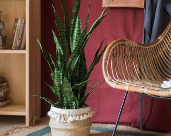 Faux Artificial Snake Plant In Pot Green