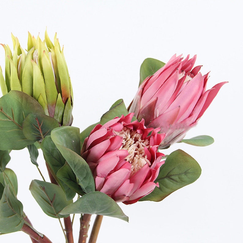 Artificial Protea Cynaroides Flower Stem 26 Tall