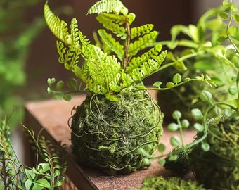 Mossy Meadow Foam Ball