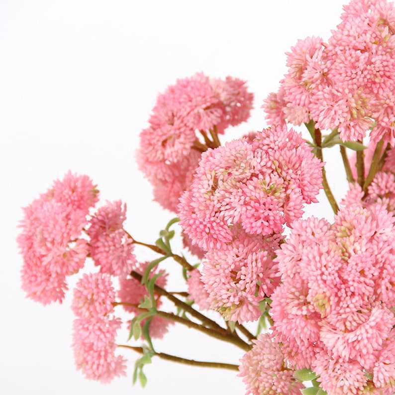 Artificial Irish Cauliflower Stem in Pink 13 Tall Etsy