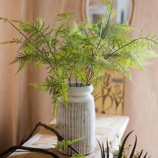 Asparagus Fern Etsy