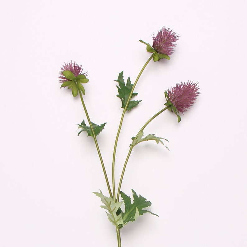 Artificial Eryngium Flower Stem in Red 24 Tall