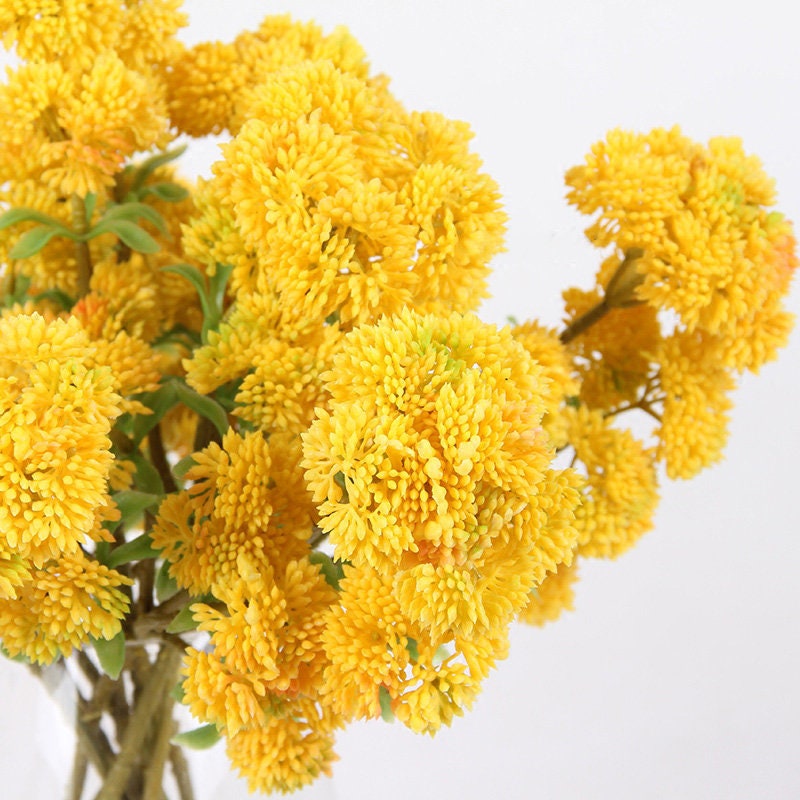 Artificial Irish Cauliflower Stem in Yellow 13 Tall Etsy